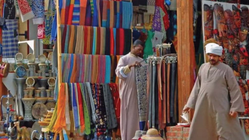 Aswan Stroll and Nubian Museum