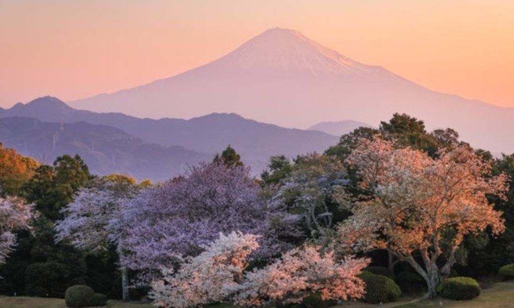 Japan