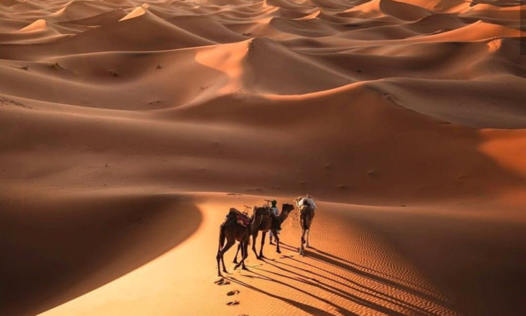 1dd0fc625182b5cb3a3ba08430f6c359_batcheditor_fotor