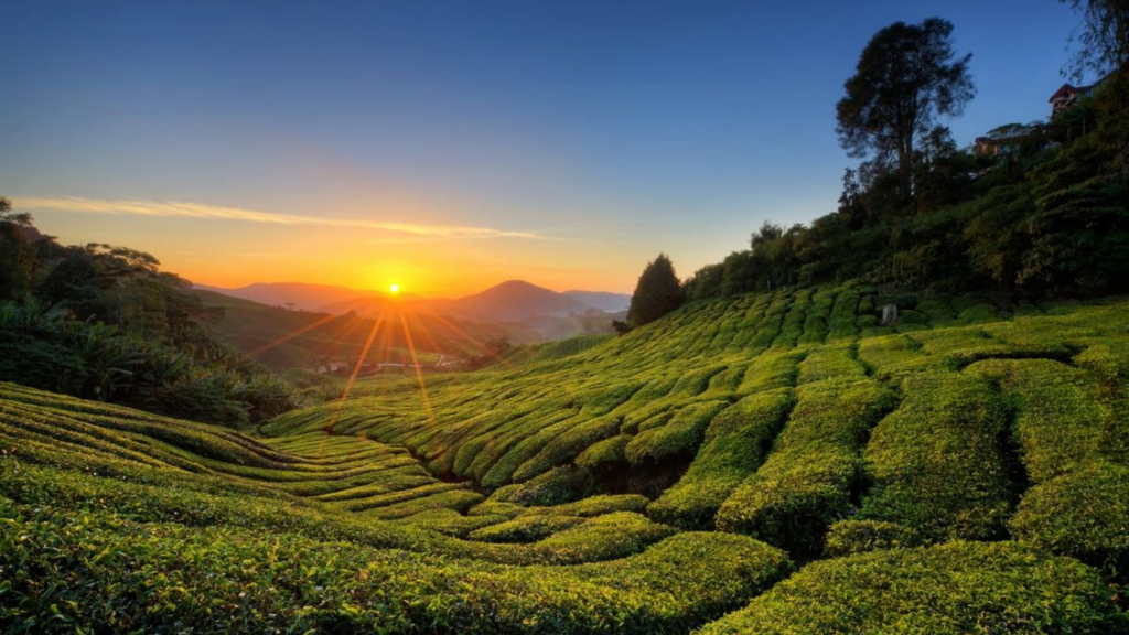 Malaysia
