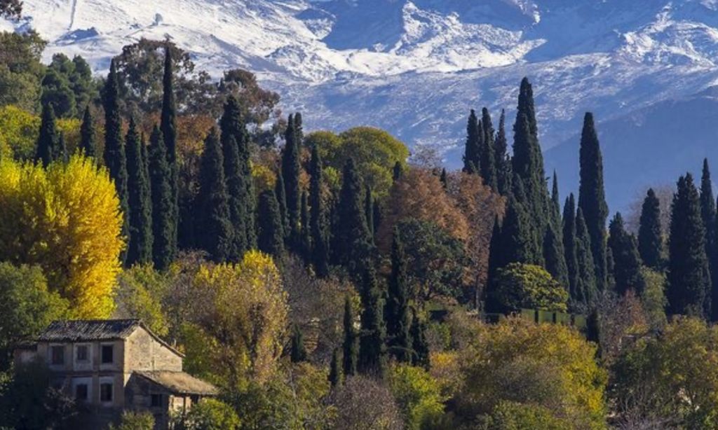Spain