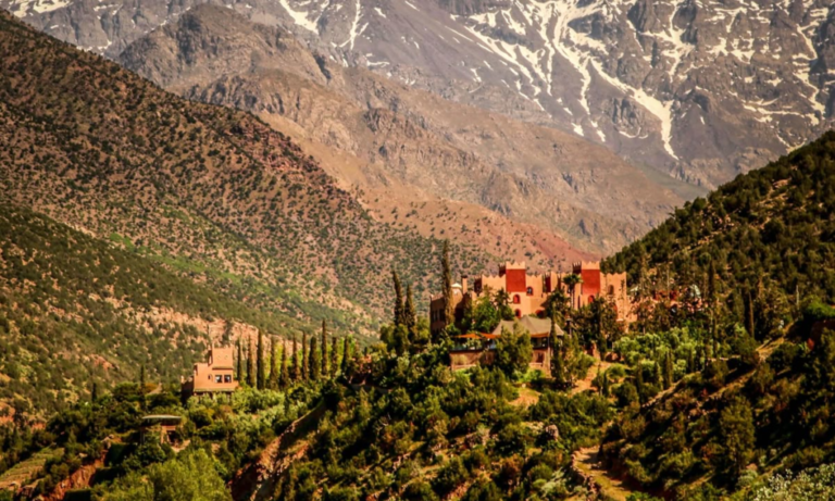 348e177d2ac309bd7c1b1859d9ad0165_batcheditor_fotor (1)