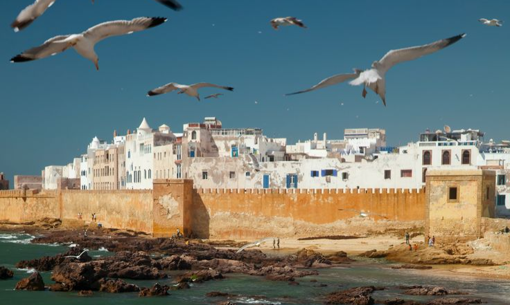 92e6101c8a021b2fc8e55887513f887a_batcheditor_fotor (1)