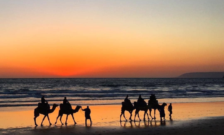 b97216f07ab7088fe366482b6cd66df9_batcheditor_fotor (1)