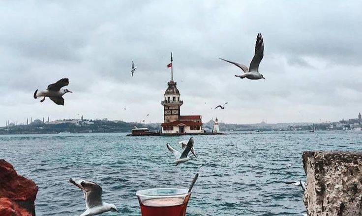 7d367806b91b0052506090b2c256ed87