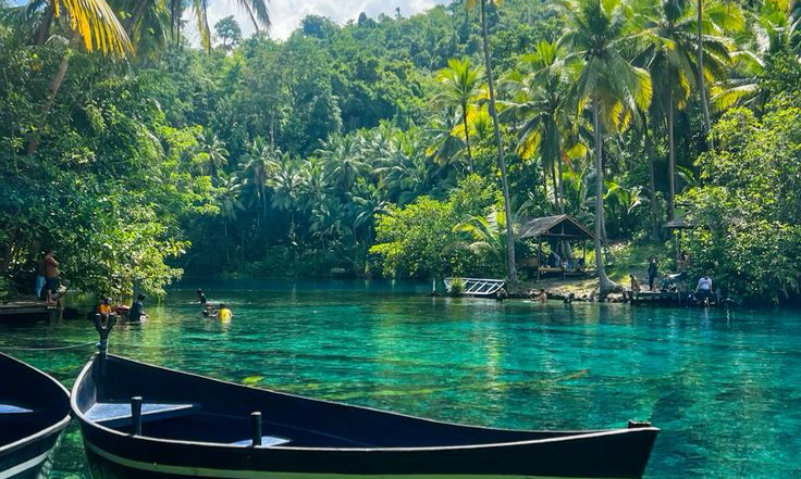 Banggai Islands, Sulawesi 🧞_♂️🌿