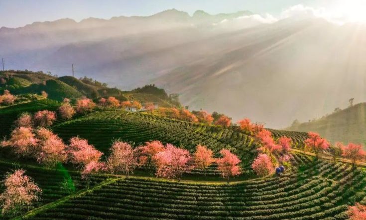 Carte touristique de Sapa Vietnam 2026 – Carte Sapa à imprimer