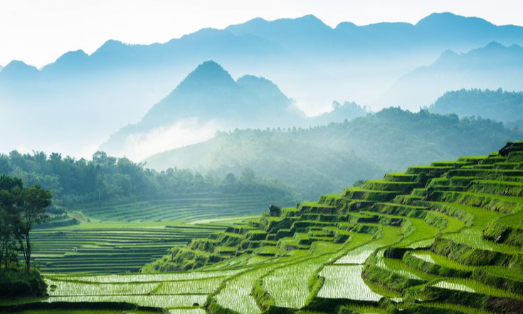 Cinematic Landscape in Vietnam by Deniz Vural