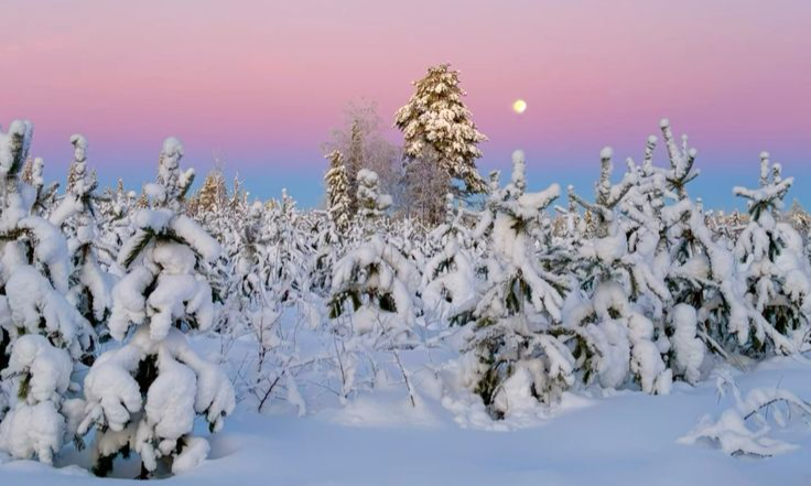 Cotton candy skies 🍭🩷