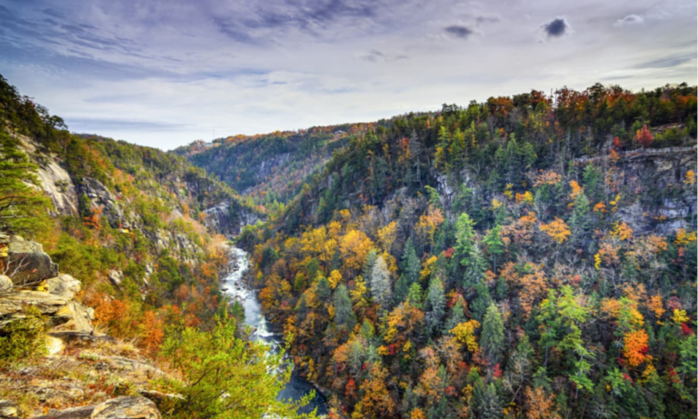Georgia-Mountains-Blue-Ridge