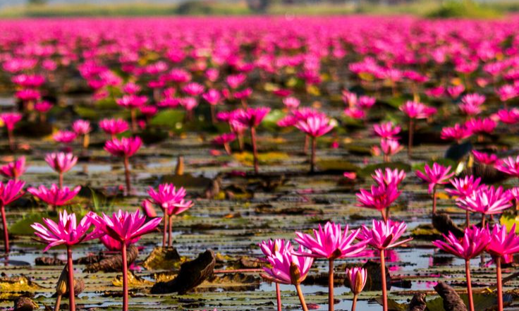 INCREDIBLE SECRET PLACES IN THAILAND