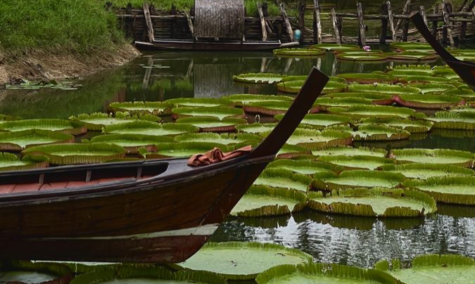 Ma Doo Bau Cafe_Thailand