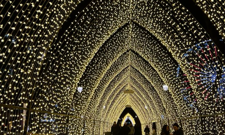 Oslo Christmas lights