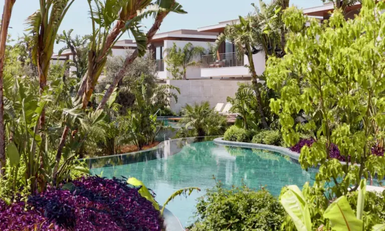 TELEMMGLPICT000458549691_17691442716280