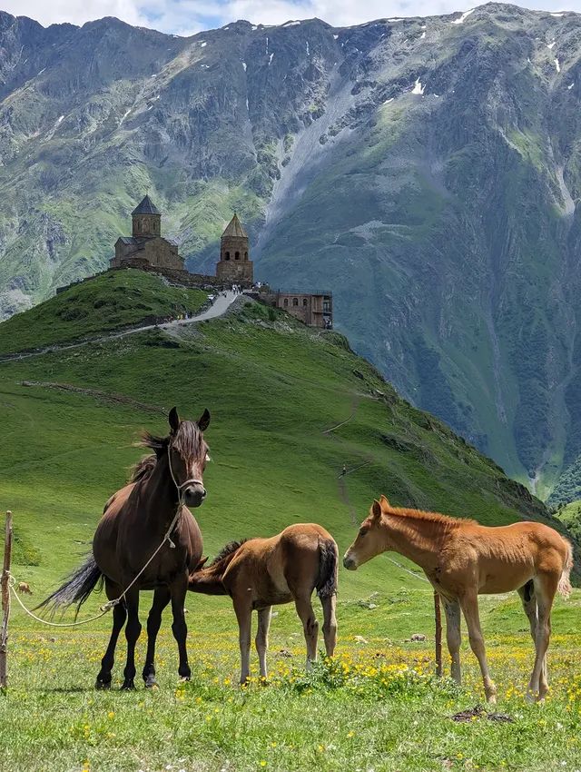 Georgian