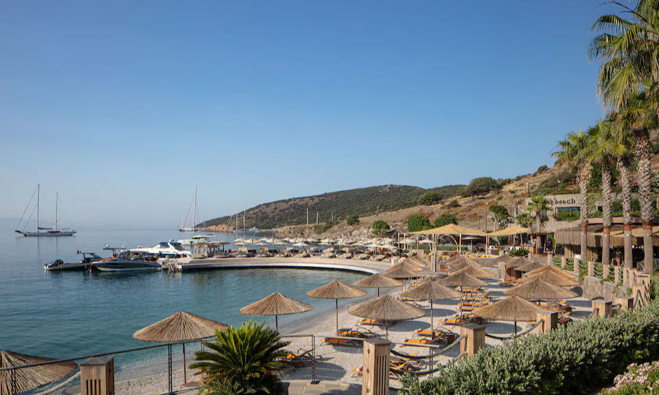 Turkey