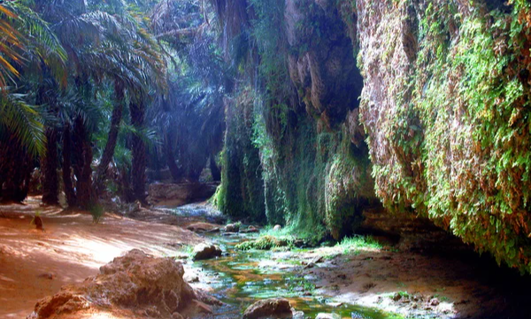 depositphotos_7660830-stock-photo-oasis-in-the-sahara