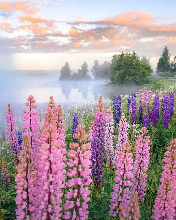 Finland