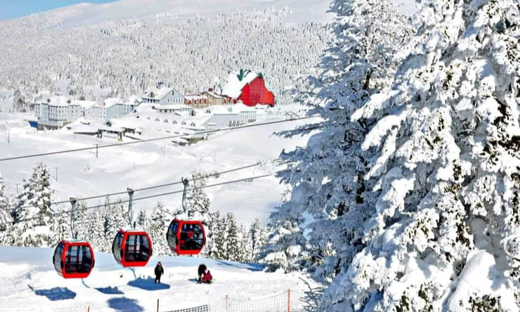 image_1612517739_sZz59cAkXFCVtzHoTyBrQjaGo7E5xIVomwdtEEfW