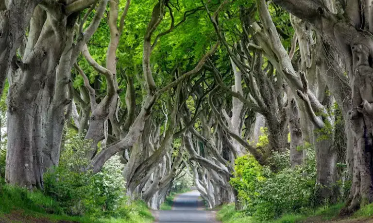 Ireland