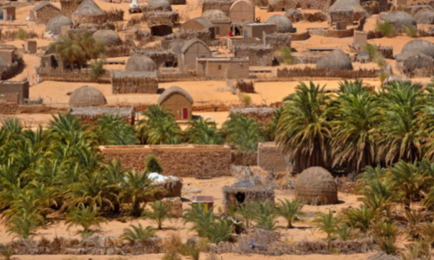 istockphoto-1352250212-612x612