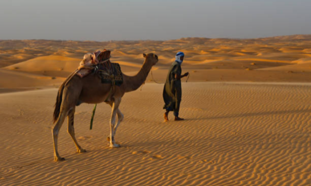 istockphoto-1388802790-612x612