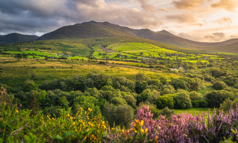 Ireland