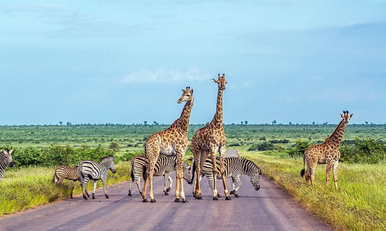 shutterstock-786552829