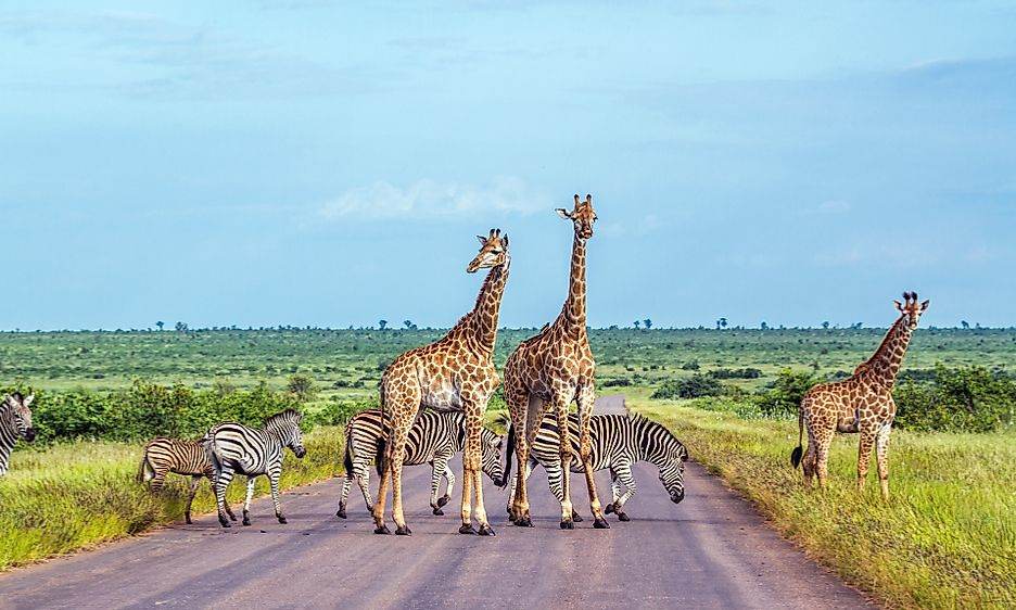 South Africa