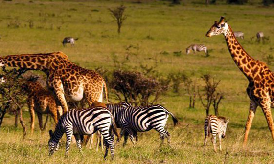 South Africa