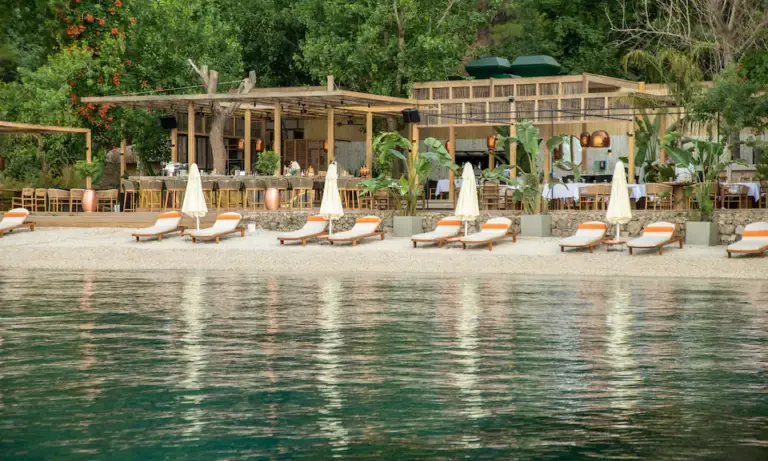 yazz-collective-product-image