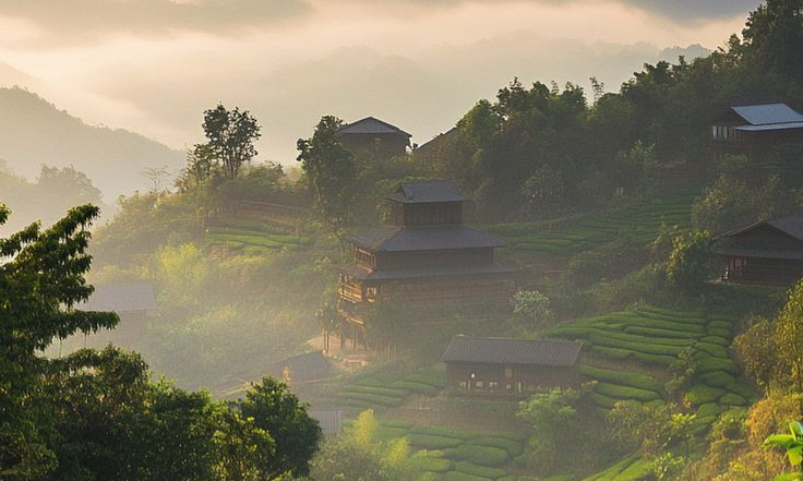 Восхитительные виды Дои Мае Салонг_ чайные плантации Таиланда