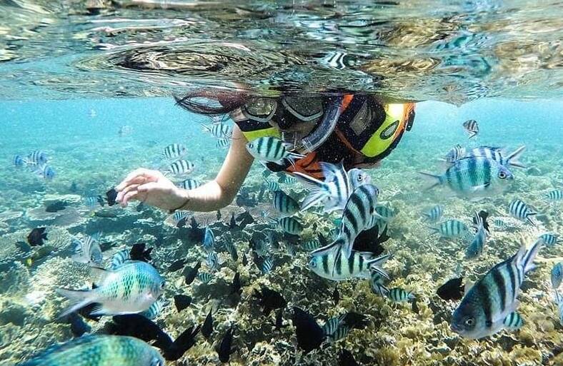 3fbf20a9ba52390ecba520739b8e4568