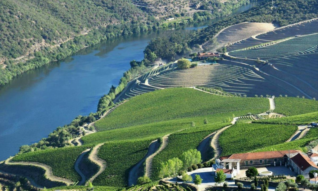 40736abaa2e2a53c2dbaa9396d0b8fc9