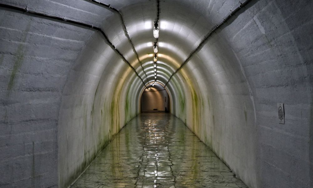 47196fabad37326f71828910942b211c_batcheditor_fotor