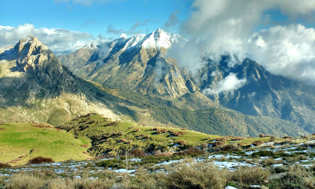 4f3c605f7c4e55a54d435803b105aa6d_batcheditor_fotor