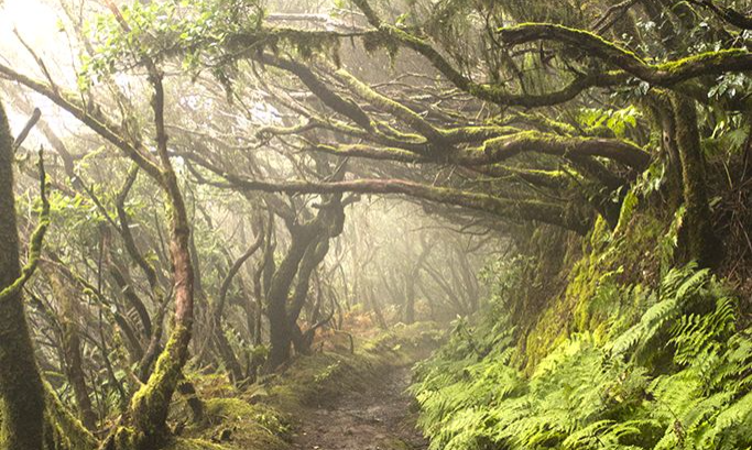 69b066e91692fafabf0ae630e04822e9