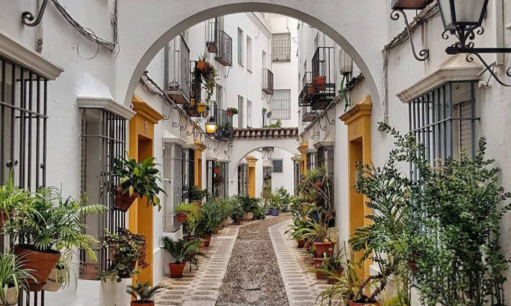 87588720d077a676033f70e600bad5b8_batcheditor_fotor