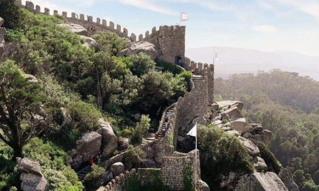 9da2a410db8dd5979b1c43791286dccd