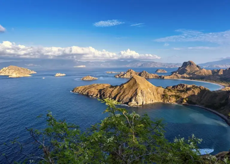 UMnQeYJ5QKFdYUVnAjVftKSB_DP3QIkZuM8NNY2etAJzgvQHVrHjdSMxOed9mM0sw2usYQTbUbPJph570BkPWHjSUQxaEkM7jBf1Pa1pFNk