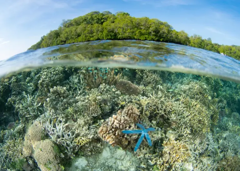 V5R2r4L3lxy_cr_ehgMDP1omqHSmZCGZd6jjFp3XlitFJBdLADzKSO2tQNy2TN3L-YFd5YZtTXiml2maxUwDV5EnWSWoR_n0oNEAYQjFc_c