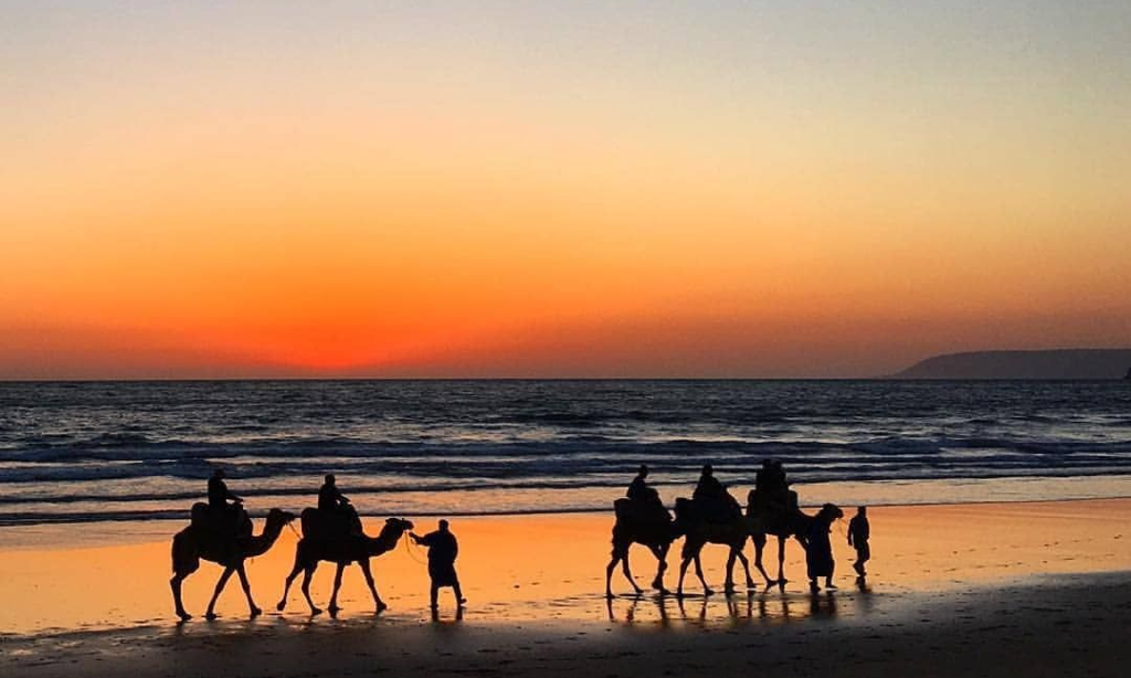 Desert Adventures & Arrival to Essaouira by Night