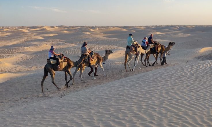 e9c91f14573b663d51d24ab7bdc9daa5_batcheditor_fotor