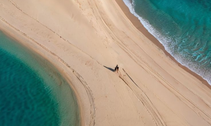 f4d299703fd9498be217ff9a17fcb92b_batcheditor_fotor