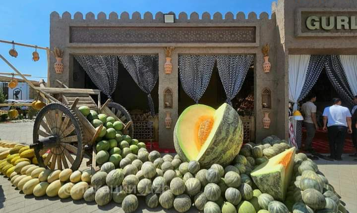 facebook_1724925216617_7234860735761689027