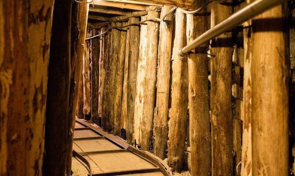 fd197c9fa85e61e1158d3e16507c919a_batcheditor_fotor