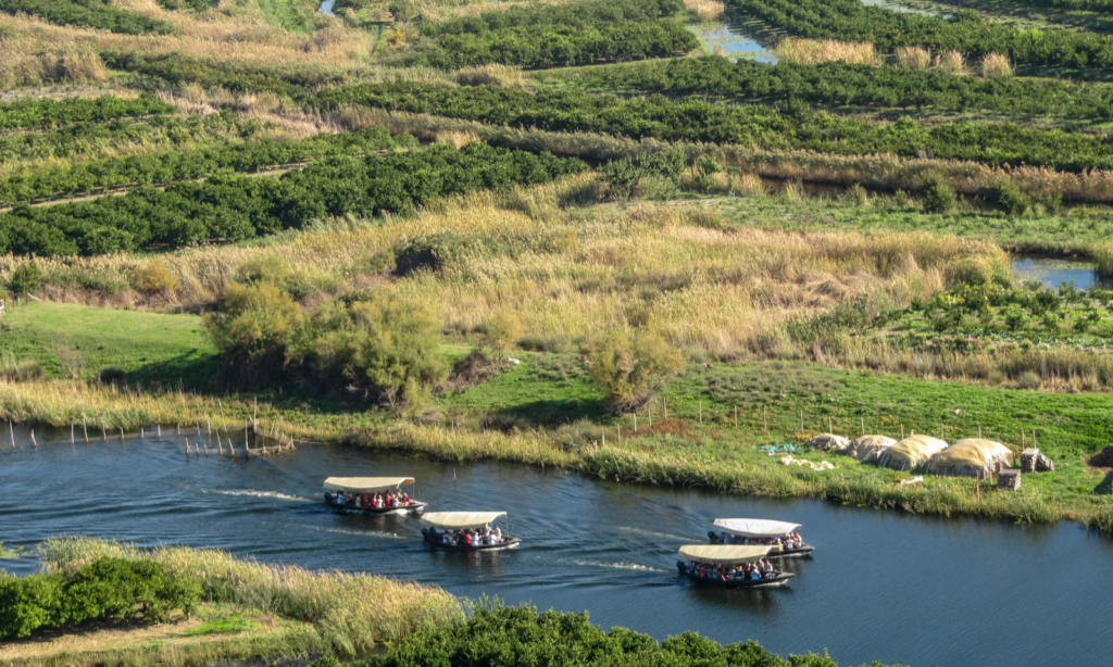 fotosafari-4_batcheditor_fotor