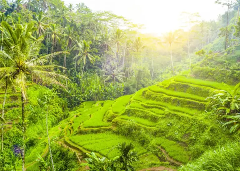 hiD0zX7t4-UWmeVbOgnx0wE-KsT14dHSvHZOrt3jOv2KX8WMJG4Mr3BLVlXKnR0GgL-kx_3iJiRDQ4WiKdjzyEV1Ti9o3-nloMs6u8_TU-8