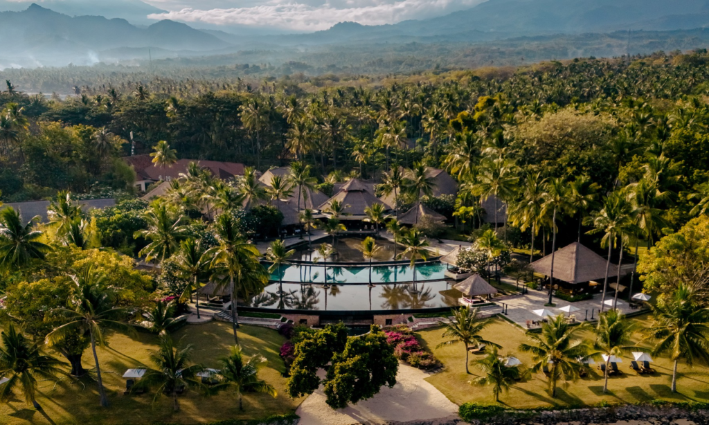 pv79kidlvuifvipfi59_batcheditor_fotor