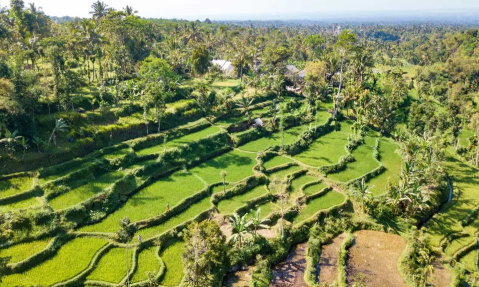 Indonesia: Bali & Lombok Tour